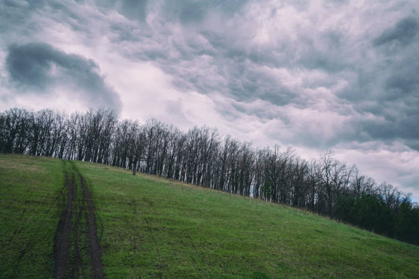 istock trees without leaves on a green hill with a rut and a cloudy sky in spring 1319081288