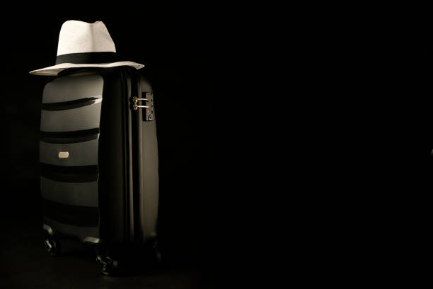 istock Holiday suitcase prepared with classic panama hat 1319081334