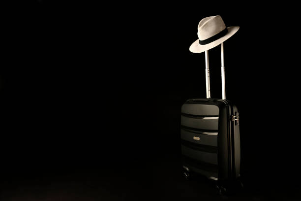 istock Holiday suitcase prepared with classic panama hat 1319081335