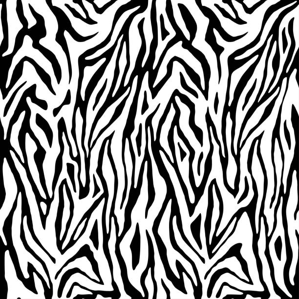 istock Zebra pattern, stylish stripes texture. Animal natural print. For the design of wallpaper, textile, cover. Vector seamless background 1319083981