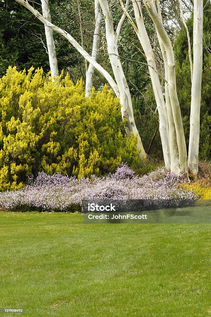 Parque com grama, heather, arbustos e árvores - Foto de stock de Arbusto royalty-free