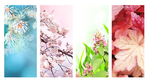 istock Four seasons of year 1319088025
