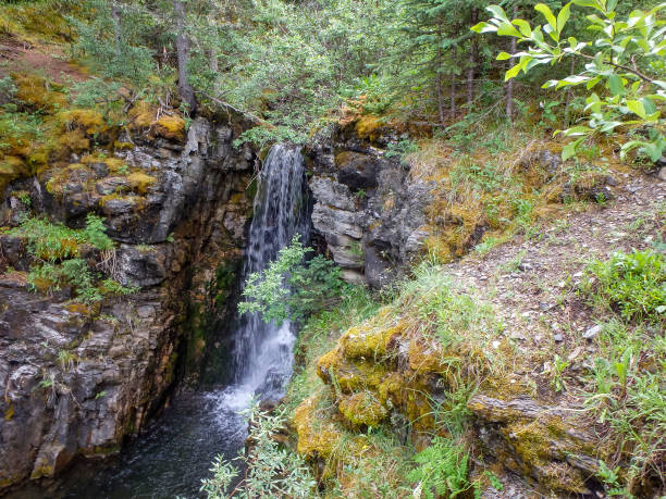 istock a small waterfall in the forest in canada 1319088704