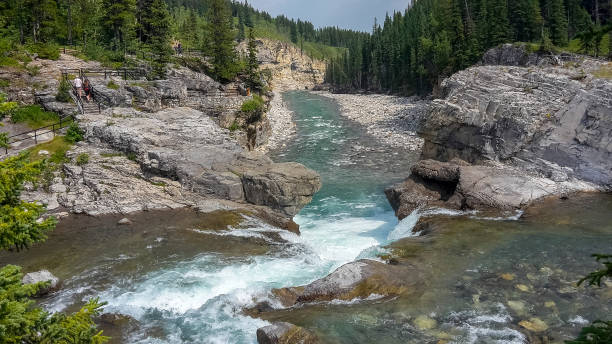 istock river in the forest at summer in canada 1319088714