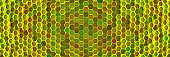 hintergrund-der-sechsecke-geometrische-struktur-von-waben-3d-visualisierung.jpg?b=1&s=170x170&k=20&c=4cBb3eiYw4nF5EhRBh--ZGQCPEt03sbNzgZBt_QNiBQ=