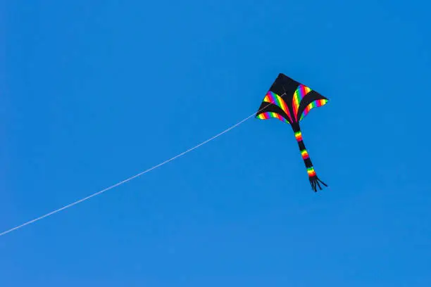 A rainbow colors kite (delta shape) flying in the blue sky.