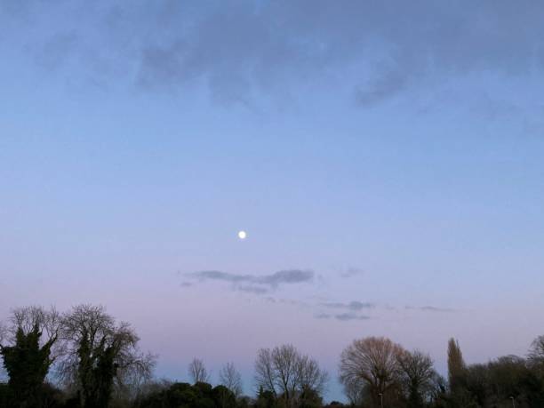 istock Dusk Park, Cherry Hinton Park Cambridge England UK 1/2 1319091439