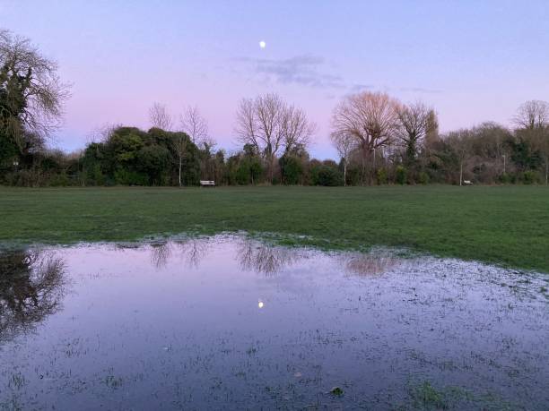 Dusk Park, Cherry Hinton Park Cambridge England UK 2/2
