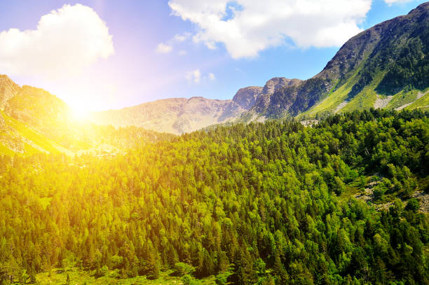 istock Beautiful mountain landscape in Pyrenees, Andorra. 1319091462