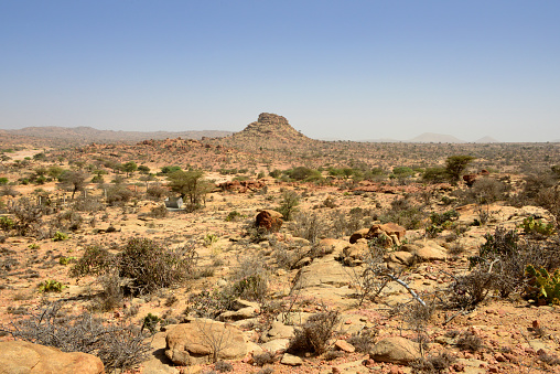 Laas Geel, Maroodi Jeex region, Somaliland, Somalia: area with landscape defined by a semi-arid climate, know for the cave paintings located in a red granite rock outcrop - acacias and rocky hill on the horizon.