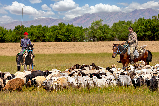 Saryozek, Kazakhstan - June 7, 2018: Father and son herders on their horse in Saryozek, Kazakhstan