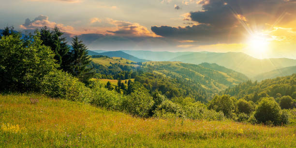 istock countryside landscape in summer at sunset 1319093209