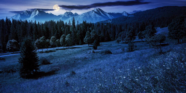 paisagem de montanha composta no verão à noite - witchcraft heights - fotografias e filmes do acervo