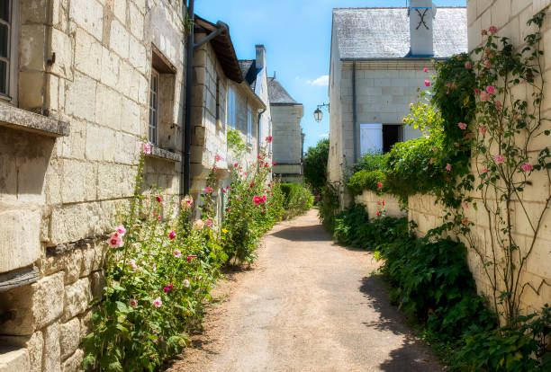 lush lane en el pueblo de candes-saint-martin en el valle del loira, francia - chinon fotografías e imágenes de stock