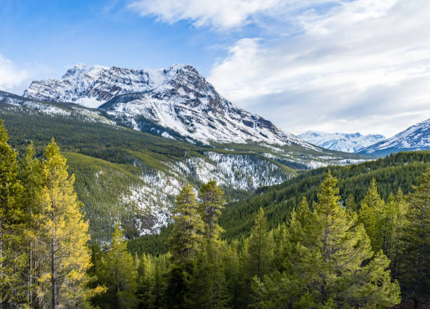 istock Continental Divide mountain ridge, Storm Mountain 1319094250