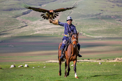 Issyk Kul, Kyrgyzstan - June 5, 2018: Eagle hunter and his Golden Eagle in Issyk Kul, Kyrgyzstan