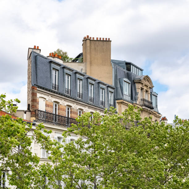 istock Paris, narrow buildings 1319097486