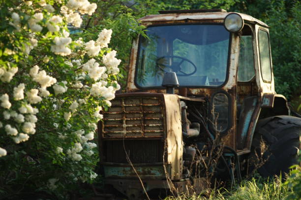 istock Old abandoned tractor in a spring garden at sunset 1319097877