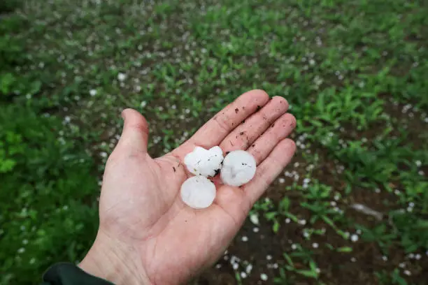 Large hail of ice taken from ground, on palm, on background of green grass in summer