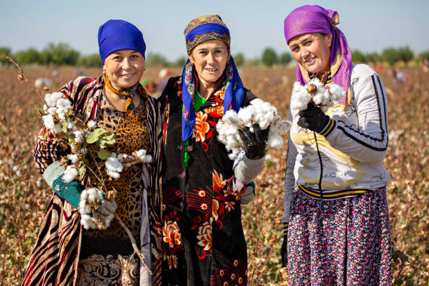 recolectores de algodón, samarcanda, uzbekistán - cotton photography cloud plantation fotografías e imágenes de stock