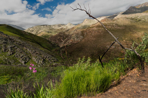 istock South African Valley Landscape 1319103507