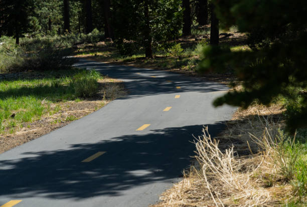 istock Paved Bike Path through the Forest 1319103941