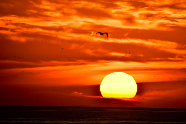 istock sunset over the sea, photo as background 1319108909