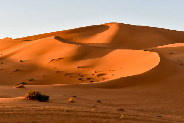 istock sand dunes in the desert, photo as background 1319109768