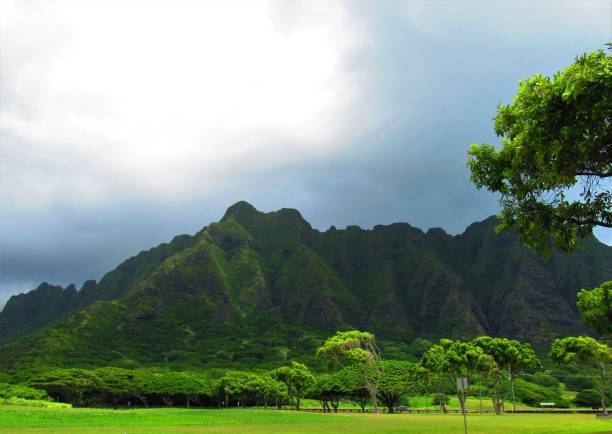 istock Kualoa Park looking towards Kualoa valley 1319110088