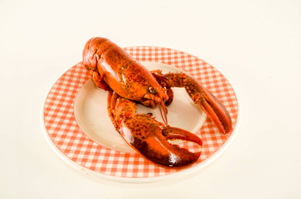 istock Delicious freshly steamed lobster 1319112149