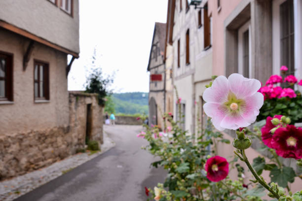 Photo Picture of Classic Architecture European Building Village