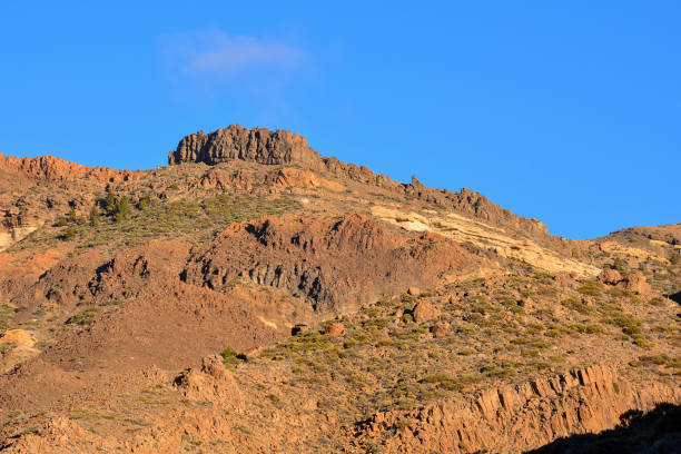 istock Landscape in Tropical Volcanic Canary Islands Spain 1319112770