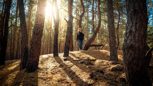 istock Young woman with backpack walking alone in pine tree forest at sunset 1319113618