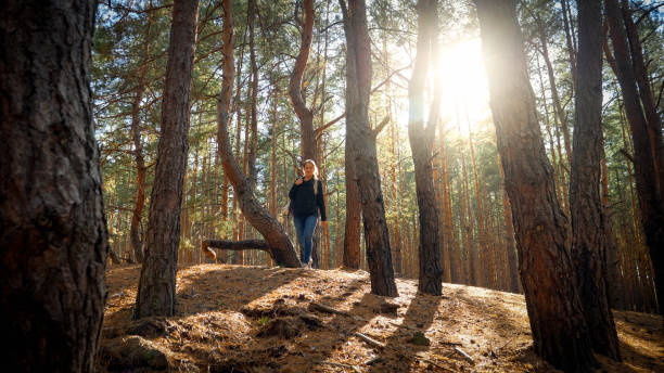 istock Beautiful young female hiker walking in forest at sunset 1319113620