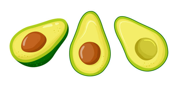 Set of cartoon slice of avocado with core isolated on the white. Tropical summer fruit flat style illustration. Set for label, poster, print, template. Green avocado with seed. Vector illustration. Set of cartoon slice of avocado with core isolated on the white. Tropical summer fruit flat style illustration. Set for label, poster, print, template. Green avocado with seed. Vector illustration. avocado stock illustrations