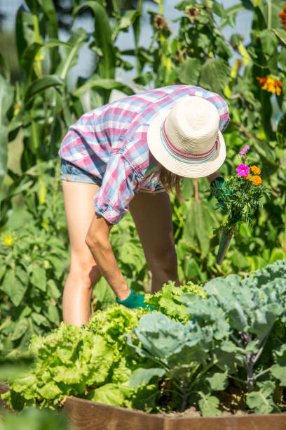 istock Young woman working in a garden 1319118655
