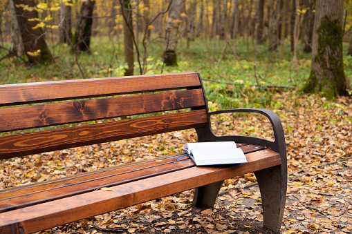 An open book lyes on a park bench seat.