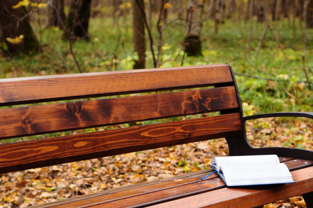 Open book lyes on a park bench seat.