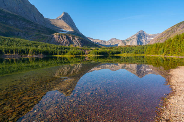 día soleado junto al lago bullhead en el parque nacional glacier. reflejo de la cordillera en superficie de agua. guijarros rojos en la playa. senderismo a swiftcurrent pass en la madrugada, mañana soleada en american rockies - montana water landscape nature fotografías e imágenes de stock