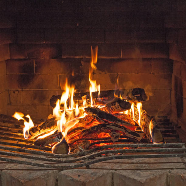 istock Close up of fire burning in fireplace 1319123512