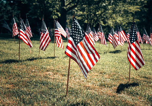 memorial day us flags