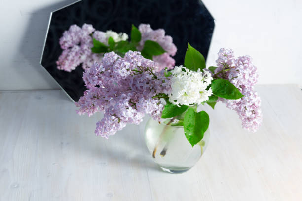 istock Fresh blooming violet and white lilac branches in glass vase reflecting in mirror 1319128745