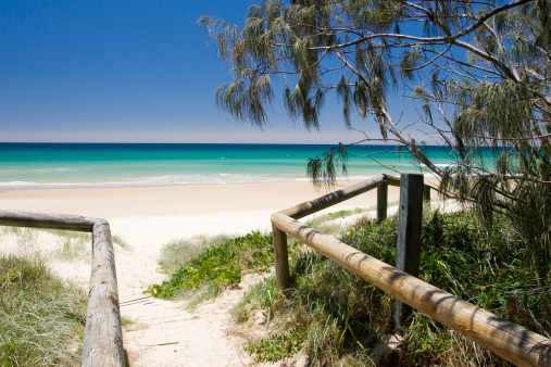a pathway to the beach on Sunshine Coast