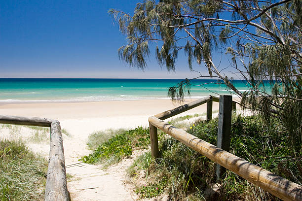 Walkway to beach with log rails to guide a pathway to the beach on Sunshine Coast sunshine coast australia stock pictures, royalty-free photos & images