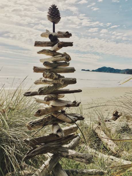 Drift wood washed up on a the sandy beach at Talacre, North Wales