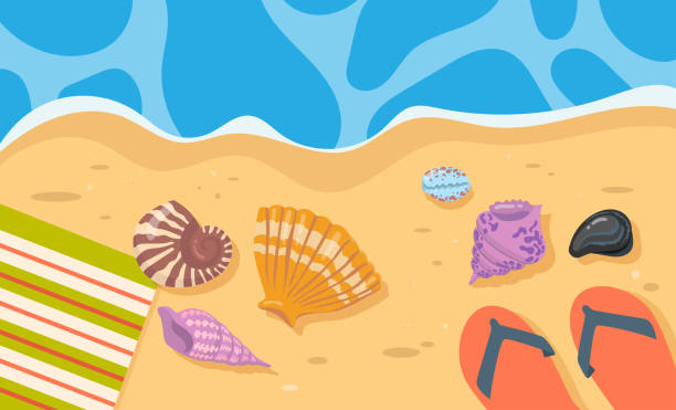 muscheln, handtuch ad flip-flops auf sand cartoon illustration - cockle nature outdoors horizontal stock-grafiken, -clipart, -cartoons und -symbole