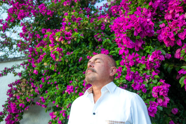 Older man under a buganvilia tree Older man under a bougainvillea tree buganvilia stock pictures, royalty-free photos & images