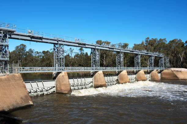 gogeldrie weir - weir foto e immagini stock