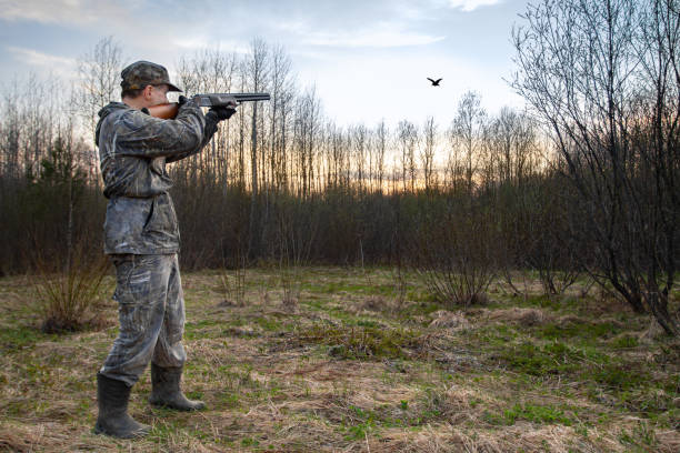 A hunter stands at dusk in a forest clearing and fires a shotgun at a low-flying male woodcock, which makes a courting flight (Roding).