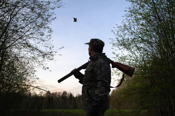 istock a hunter looks at a flying woodcock late at night 1319167497